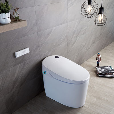 Experience Ultimate Comfort with Modern Design Eco Smart Automatic Intelligent Toilet Heated Seat and Warm Air Dryer