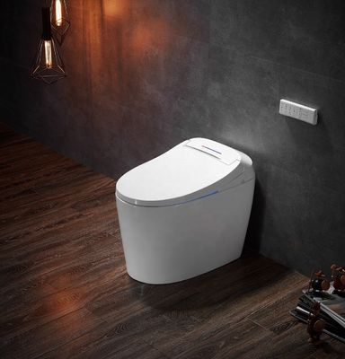 Advanced Function Automatic Deodorization Toilet Integrated Multi-Function Luxury with S-trap Drainage and Remote Control