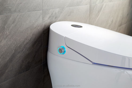 Office Building Luxury Lower Cistern Eco Smart Automatic Intelligent Toilet with Adjustable Temperature and Tech Features