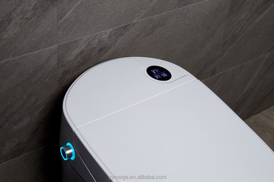 Experience Ultimate Comfort with Modern Design Eco Smart Automatic Intelligent Toilet Heated Seat and Warm Air Dryer
