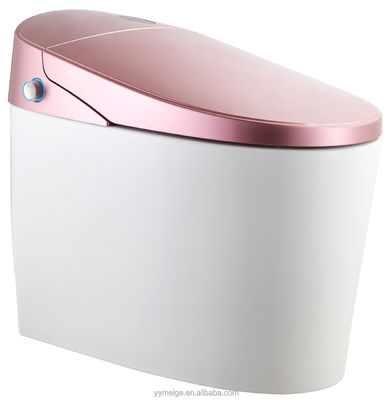 Experience Ultimate Comfort with Modern Design Eco Smart Automatic Intelligent Toilet Heated Seat and Warm Air Dryer