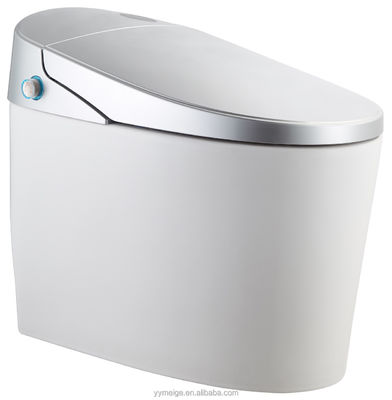 Experience Ultimate Comfort with Modern Design Eco Smart Automatic Intelligent Toilet Heated Seat and Warm Air Dryer