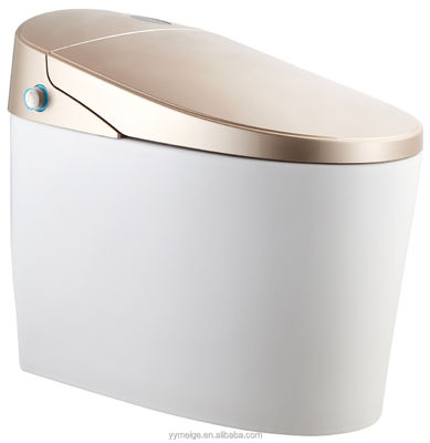 Experience Ultimate Comfort with Modern Design Eco Smart Automatic Intelligent Toilet Heated Seat and Warm Air Dryer