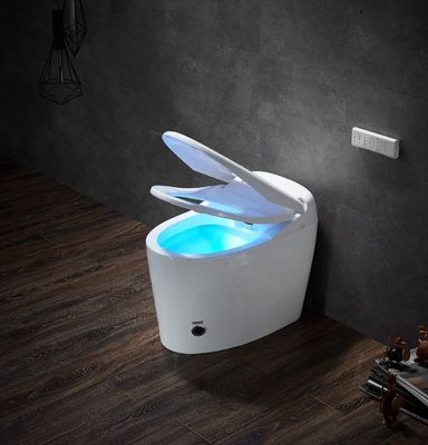 Eco Smart Automatic Intelligent Toilet All in One OEM ODM Massage Washing Multi Function Modern Design Style for Bathroom