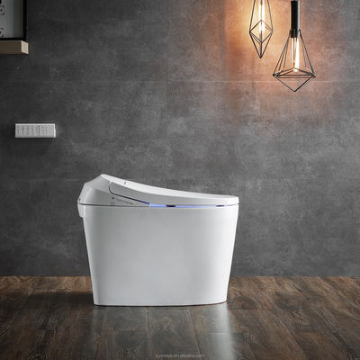 One-Piece Toilet with Auto Flush Warm Water and Dry Rear Mode Eco Smart Automatic Intelligent Toilet All-in-One Toilet OEM