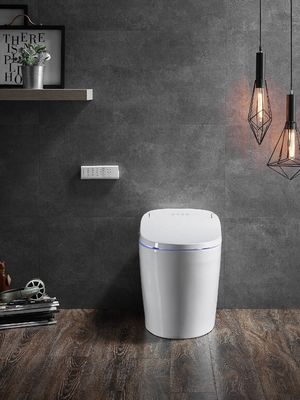 One-Piece Toilet with Auto Flush Warm Water and Dry Rear Mode Eco Smart Automatic Intelligent Toilet All-in-One Toilet OEM
