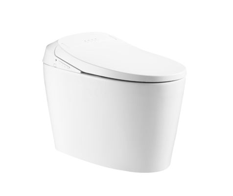 One-Piece Toilet with Auto Flush Warm Water and Dry Rear Mode Eco Smart Automatic Intelligent Toilet All-in-One Toilet OEM