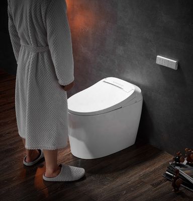Advanced Function Automatic Deodorization Toilet Integrated Multi-Function Luxury with S-trap Drainage and Remote Control