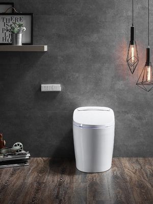 Advanced Function Automatic Deodorization Toilet Integrated Multi-Function Luxury with S-trap Drainage and Remote Control