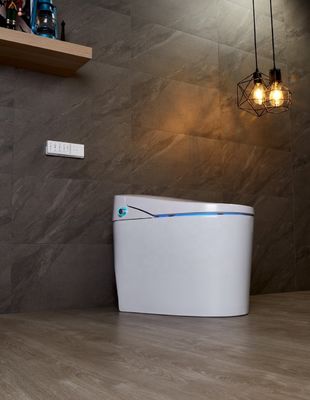 Upgrade to a Modern Design Eco Smart Automatic Intelligent Toilet 4.8L Flushing Flowrate Easy DIY Installation