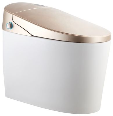 Upgrade to a Modern Design Eco Smart Automatic Intelligent Toilet 4.8L Flushing Flowrate Easy DIY Installation