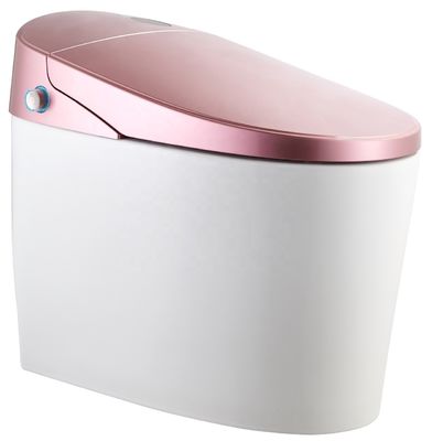 Upgrade to a Modern Design Eco Smart Automatic Intelligent Toilet 4.8L Flushing Flowrate Easy DIY Installation