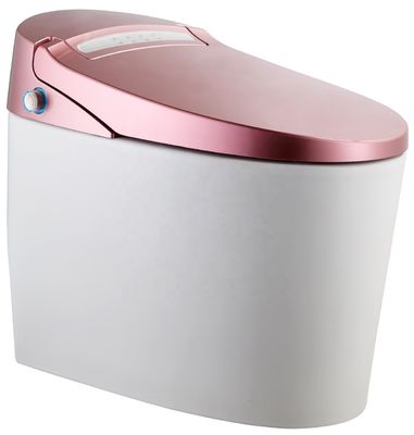 Transform Your Office Building Bathroom with Floor Mounted Intelligent Automatic Toilet and Multi-Function Luxury Bidet