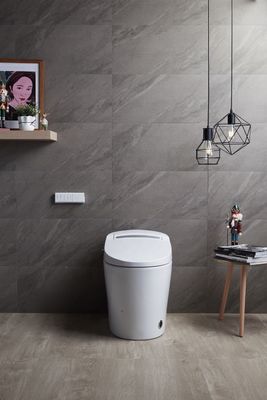 Transform Your Office Building Bathroom with Floor Mounted Intelligent Automatic Toilet and Multi-Function Luxury Bidet