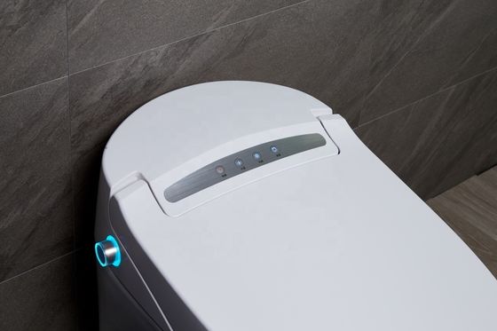 Transform Your Office Building Bathroom with Floor Mounted Intelligent Automatic Toilet and Multi-Function Luxury Bidet