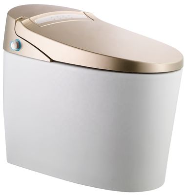 Transform Your Office Building Bathroom with Floor Mounted Intelligent Automatic Toilet and Multi-Function Luxury Bidet
