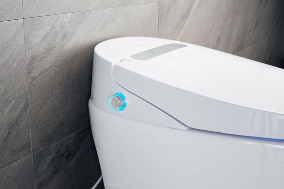 One Piece Structure Heated Bidet Toilet with Integrated Multi-Function Luxury and Intelligent Automatic Design
