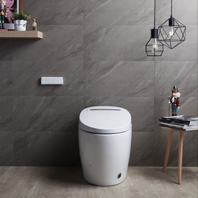 One Piece Structure Heated Bidet Toilet with Integrated Multi-Function Luxury and Intelligent Automatic Design